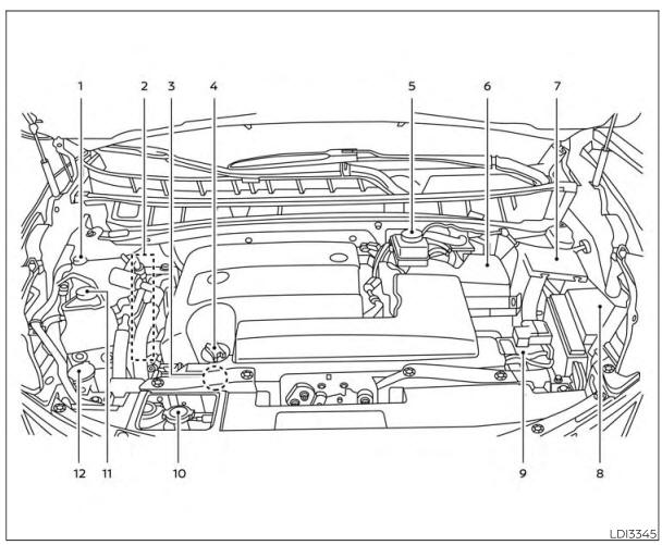 Nissan Murano. Engine compartment check locations