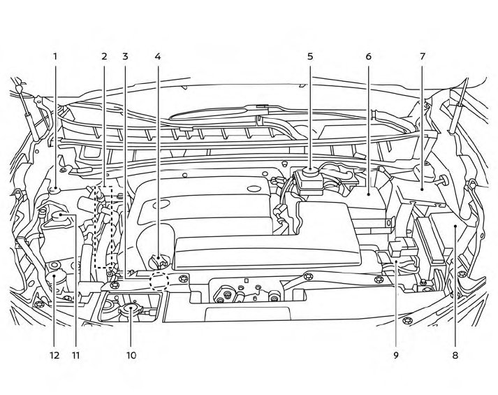 Nissan Murano. Engine compartment check locations